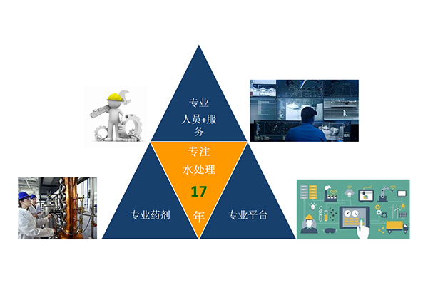 1640930650191370.jpg 7.jpg